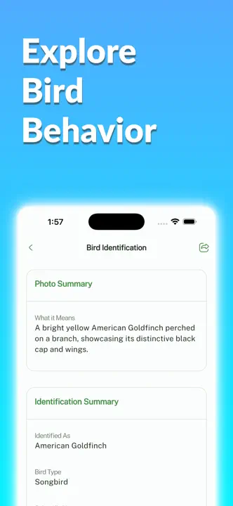Bird Identifier, Bird Id: Screenshot 4 von 10