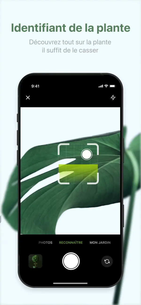 Screenshot #3 pour Reconnaitre fleurs et plantes!