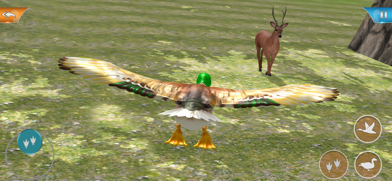 Duck Game Bird Simulator Screenshot 2 of 6