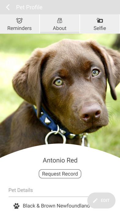 Screenshot 3 of Swiss Farm Veterinary App