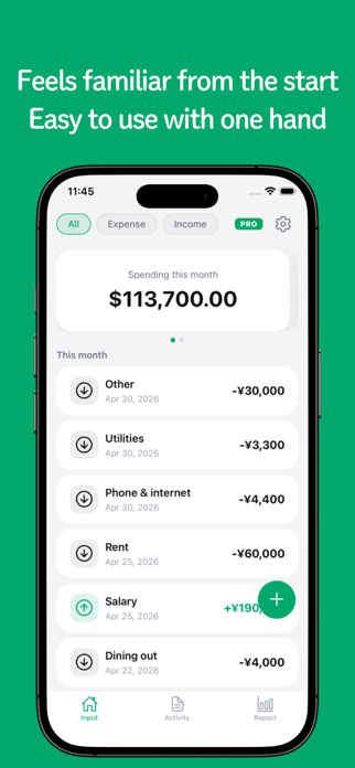 Zenith Budget Screenshot 1 of 6