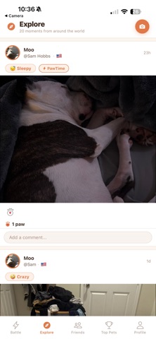 PawTime - Pet Social Network screenshot