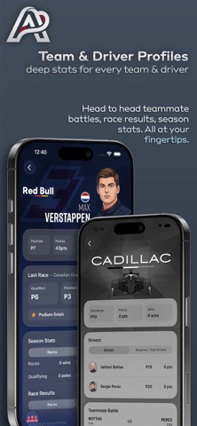Apex Widgets: F1 Race & Stats screenshot
