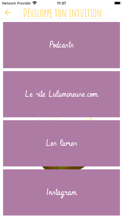 Développeur d'Intuition Screenshot