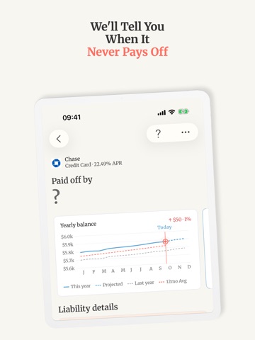 PaidOff: Debt Tracker iPad screenshot