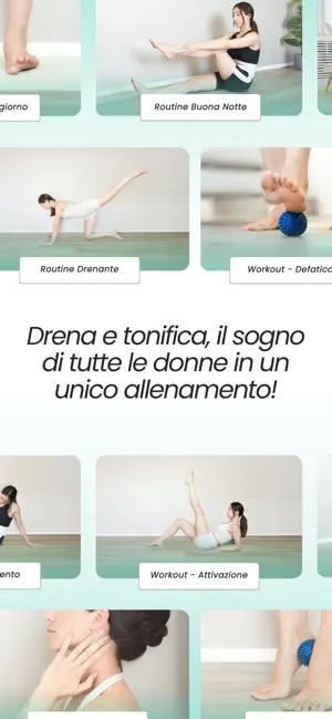 Linfit screenshot 3