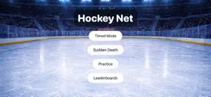 Hockey Net screenshot 2