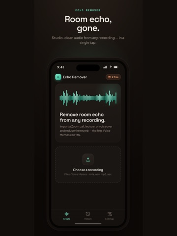 Echo Remover: Voice Cleanup iPad screenshot