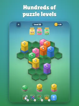 Hive Sort: Honey Stack Puzzle screenshot 9