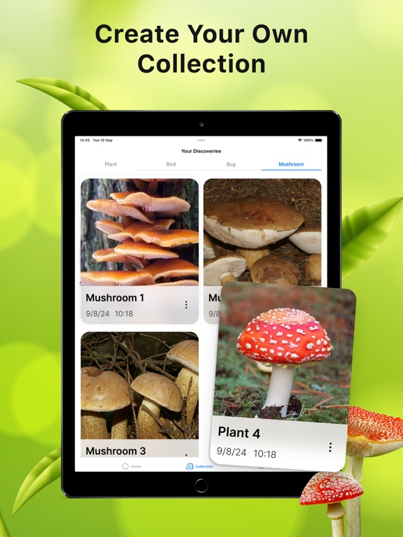 Identify Insects Plants Birds iPad screenshot 4 - Utilities app