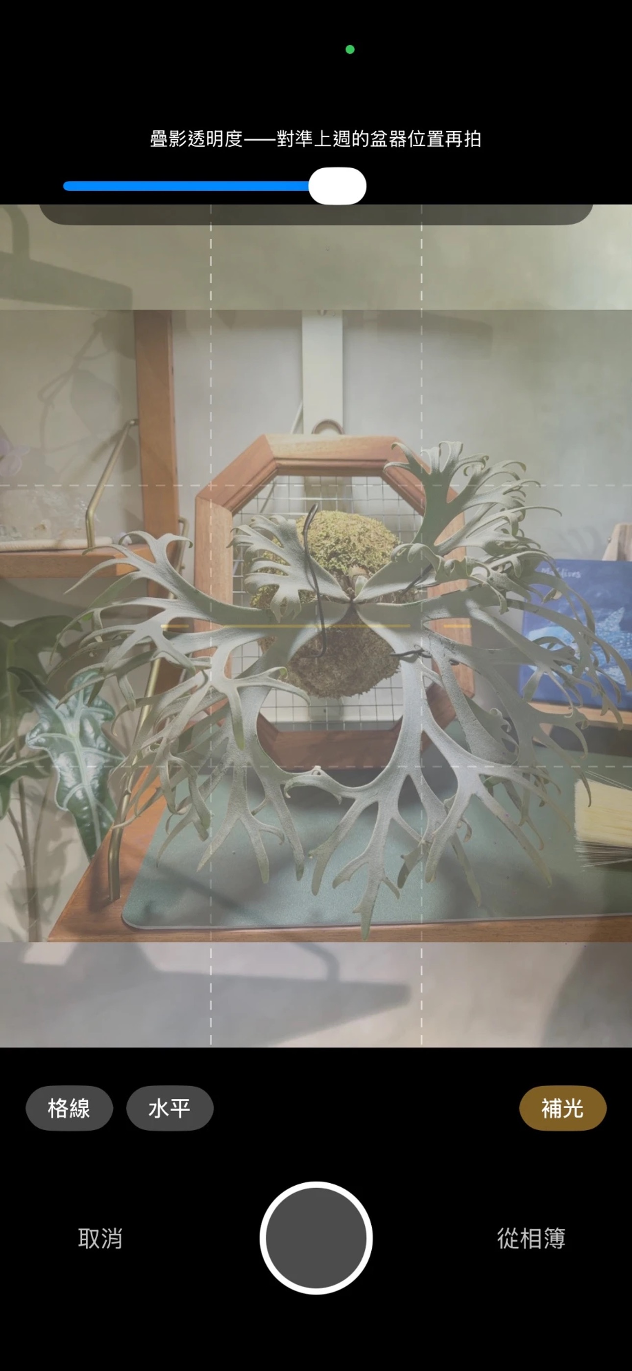 Screenshot 2 of 一隅有植