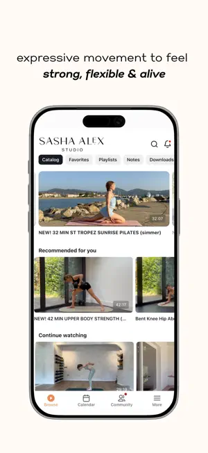 Sasha Alex Studio screenshot 1