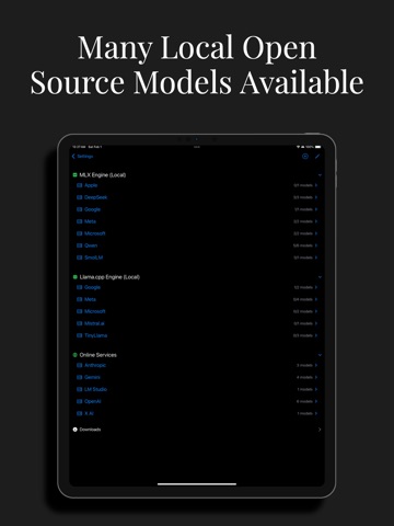 PocketMind, Private & Local AI Screenshot 3
