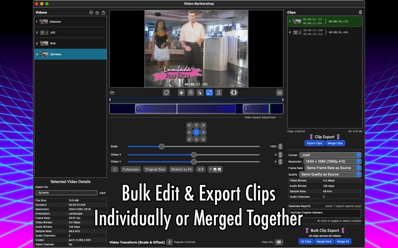 Video Barbershop Lite screenshot