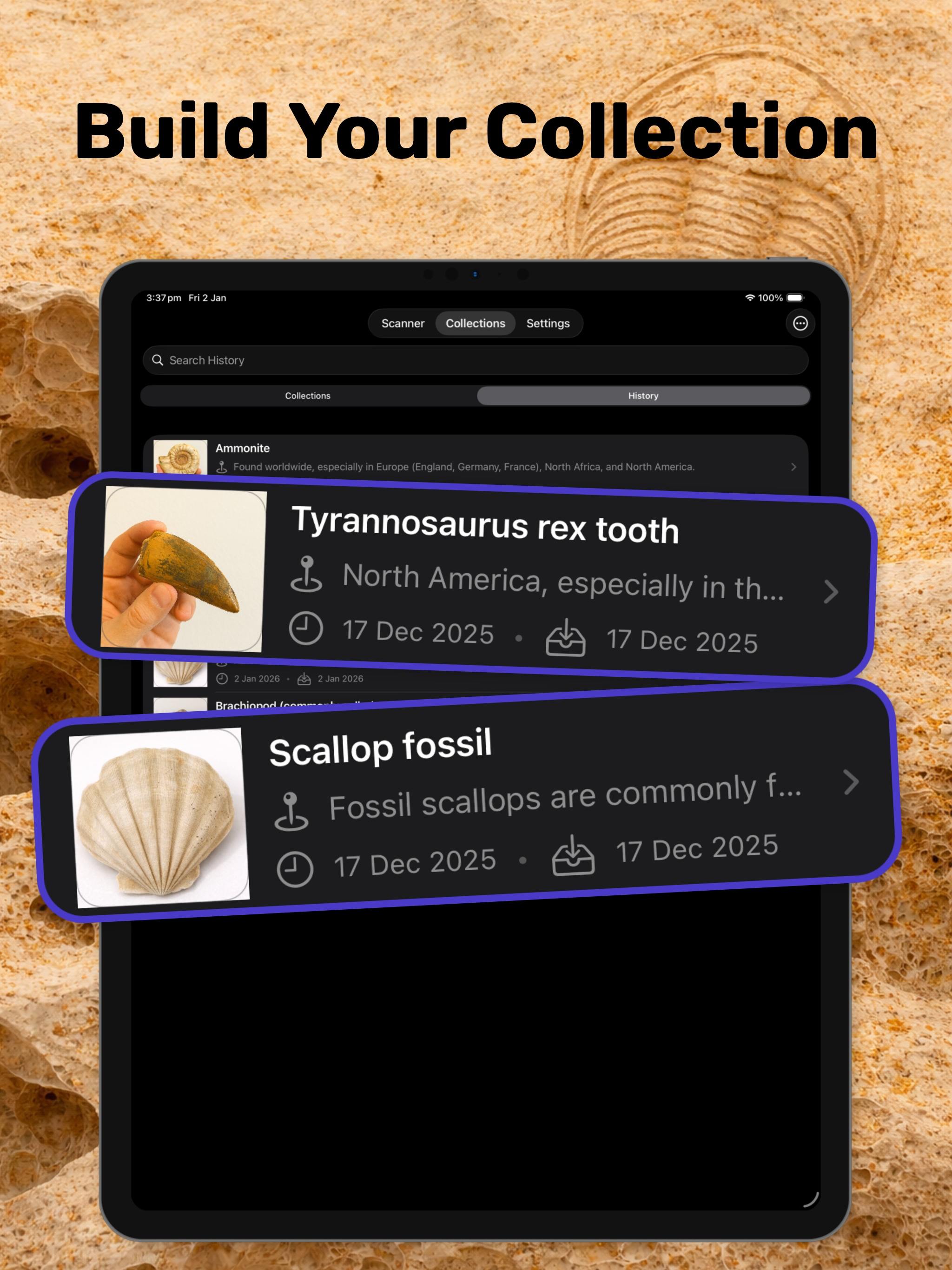 Fossil Identifier & Rock ID