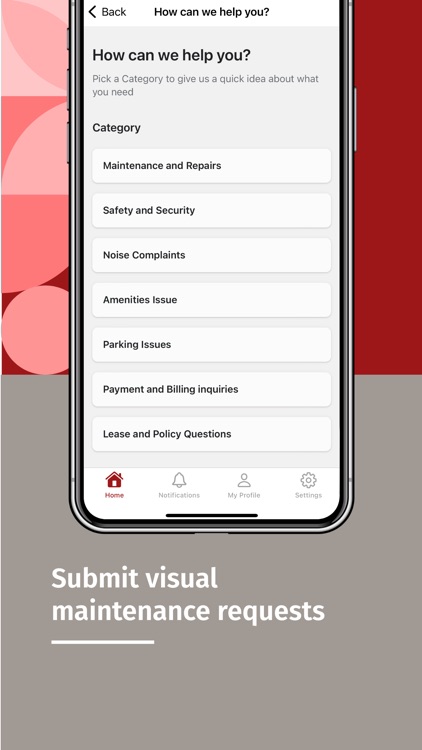 Fortuna and Co screenshot-4