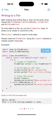 Learn Java Programming Pro screenshot 2