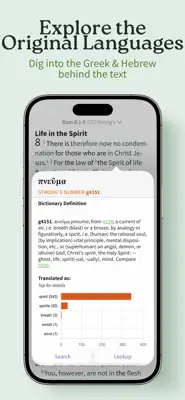 Exegesis: Bible Study 3