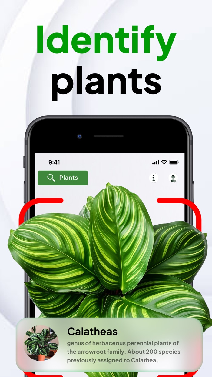 AI Plant ID - Identifier