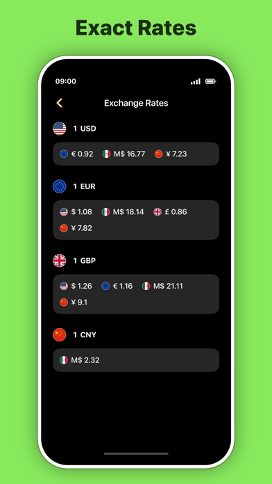 Currency Converter Neo Offline Screenshot
