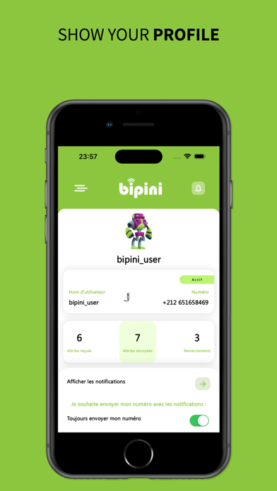 bipini Screenshot