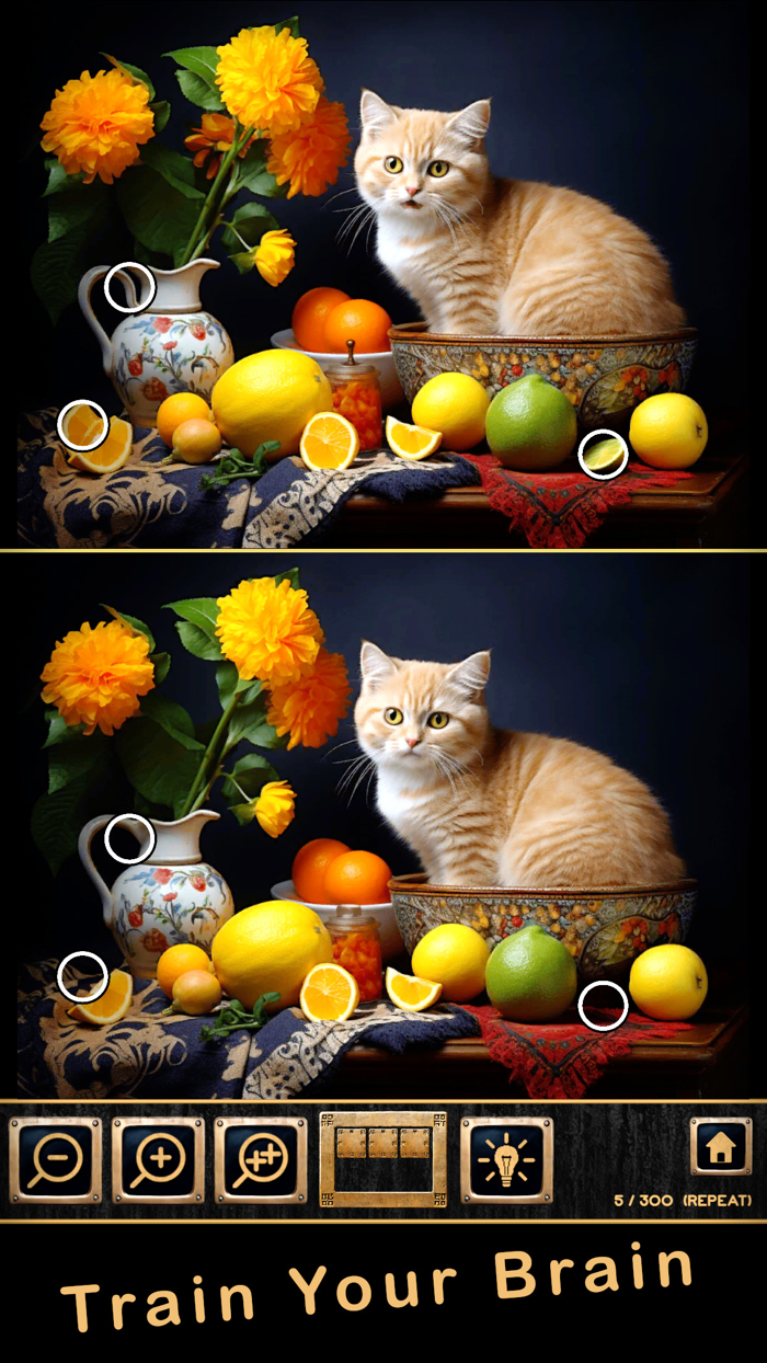 Find Differences AI Challenge