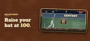 Howzat! Cricket Arcade screenshot 4