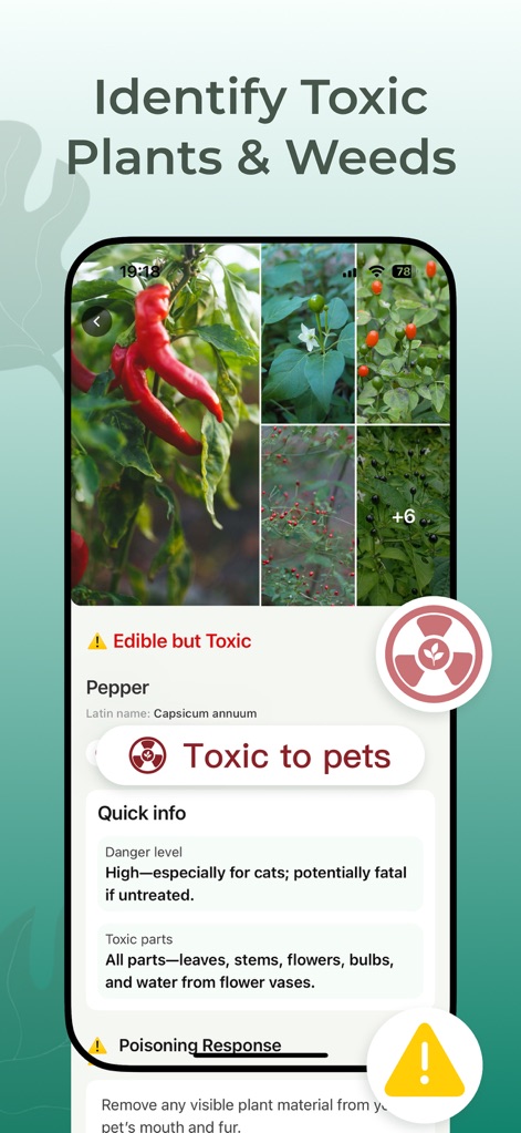 Plant Identifier: PlantScope - The app helps users "Identify Toxic Plants & Weeds" by displaying crucial "Toxic to pets" alerts and detailed "Quick info" on danger levels and toxic plant parts.