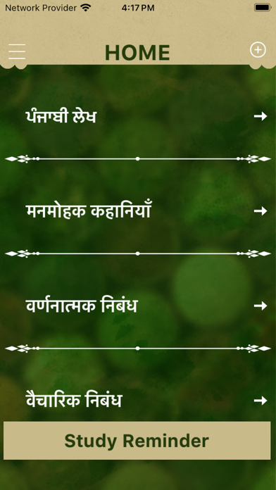 Essay Writing Punjabi & Hindi Screenshot
