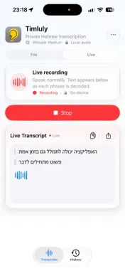 Timluly screenshot 2