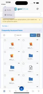 GovDrive screenshot 8