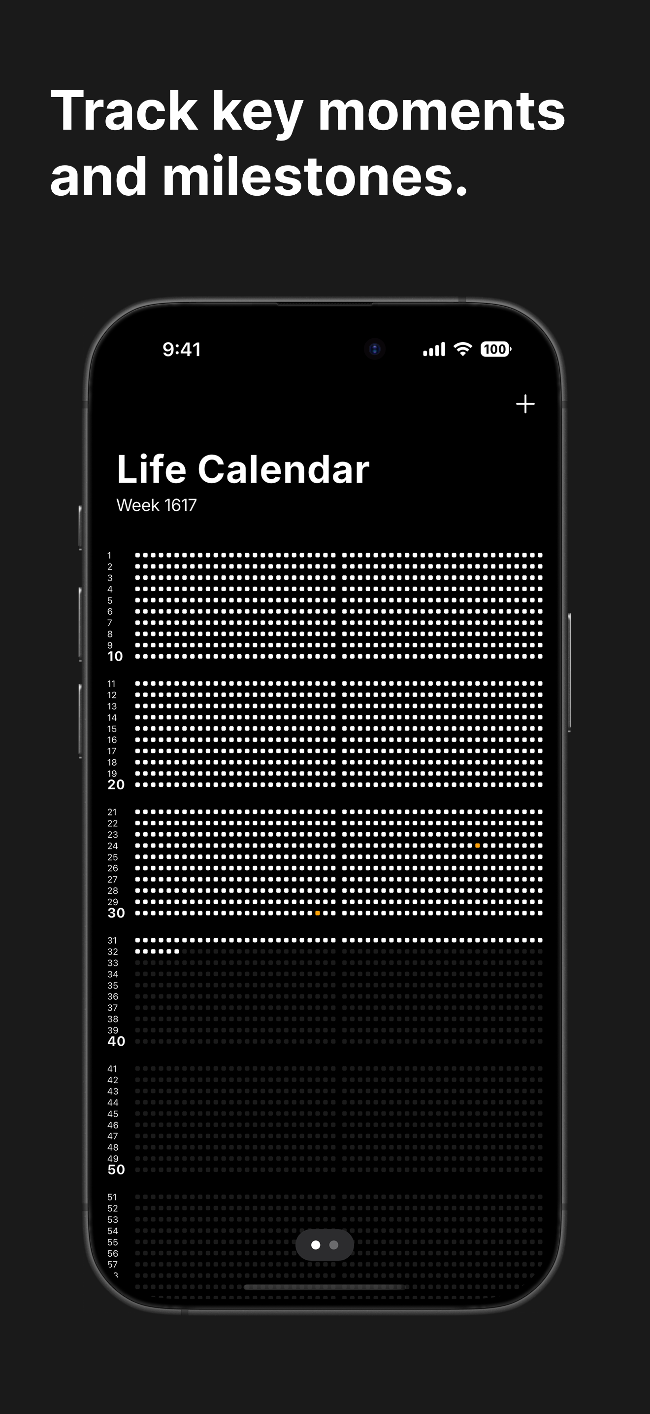 Life Calendar: Visual Timeline
