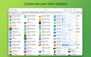 filebrowser pro iphone capturas de pantalla 4
