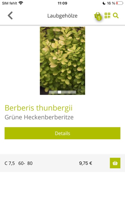 Hinrichspflanzen - B2B