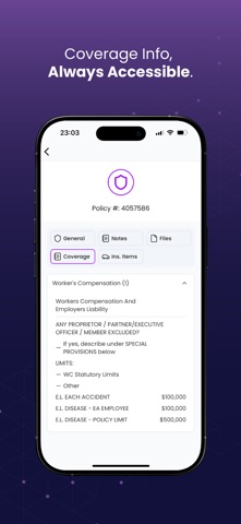 Momentum Roam screenshot