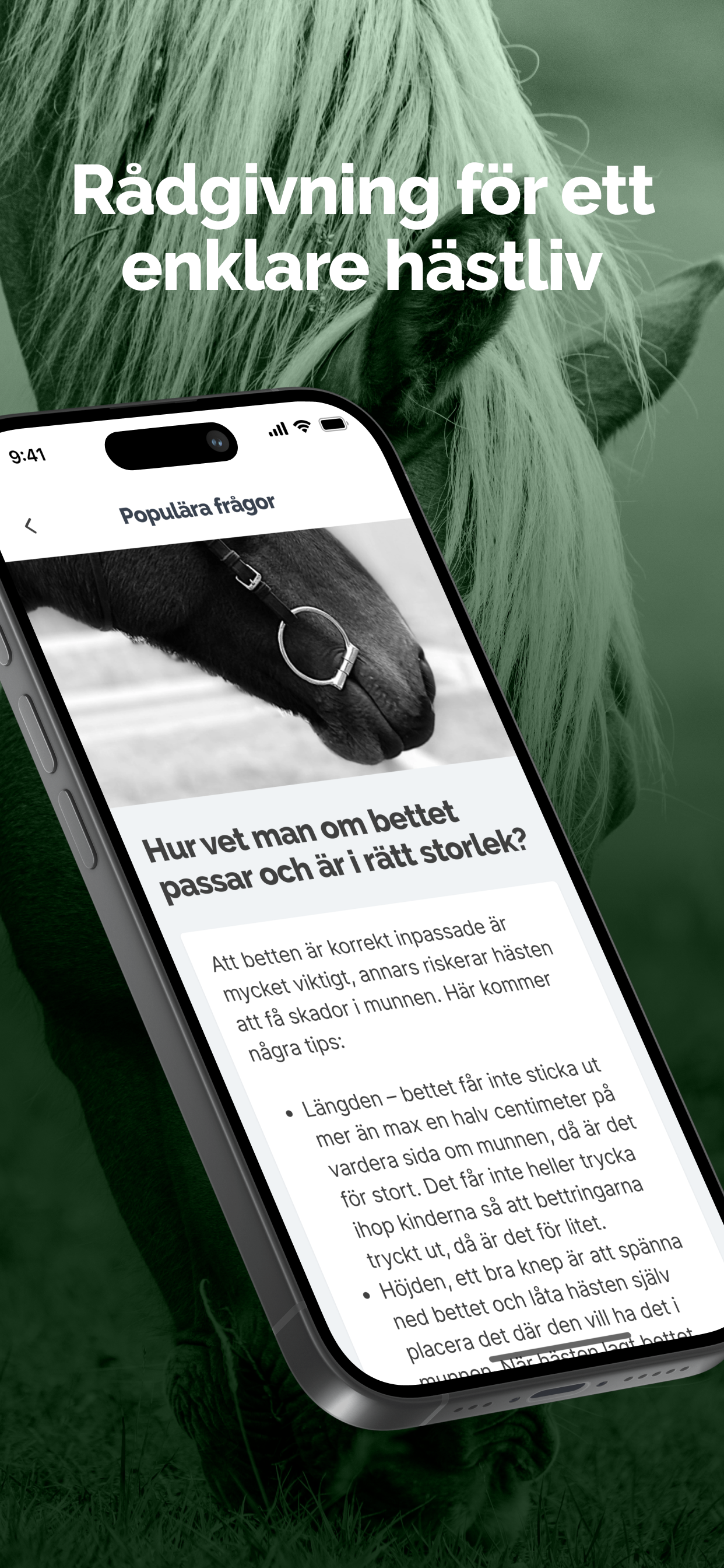 HayHay: För häst & ridning