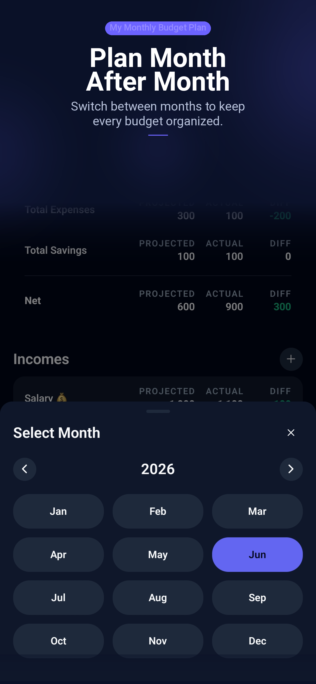 My Monthly Budget Plan screenshot 7
