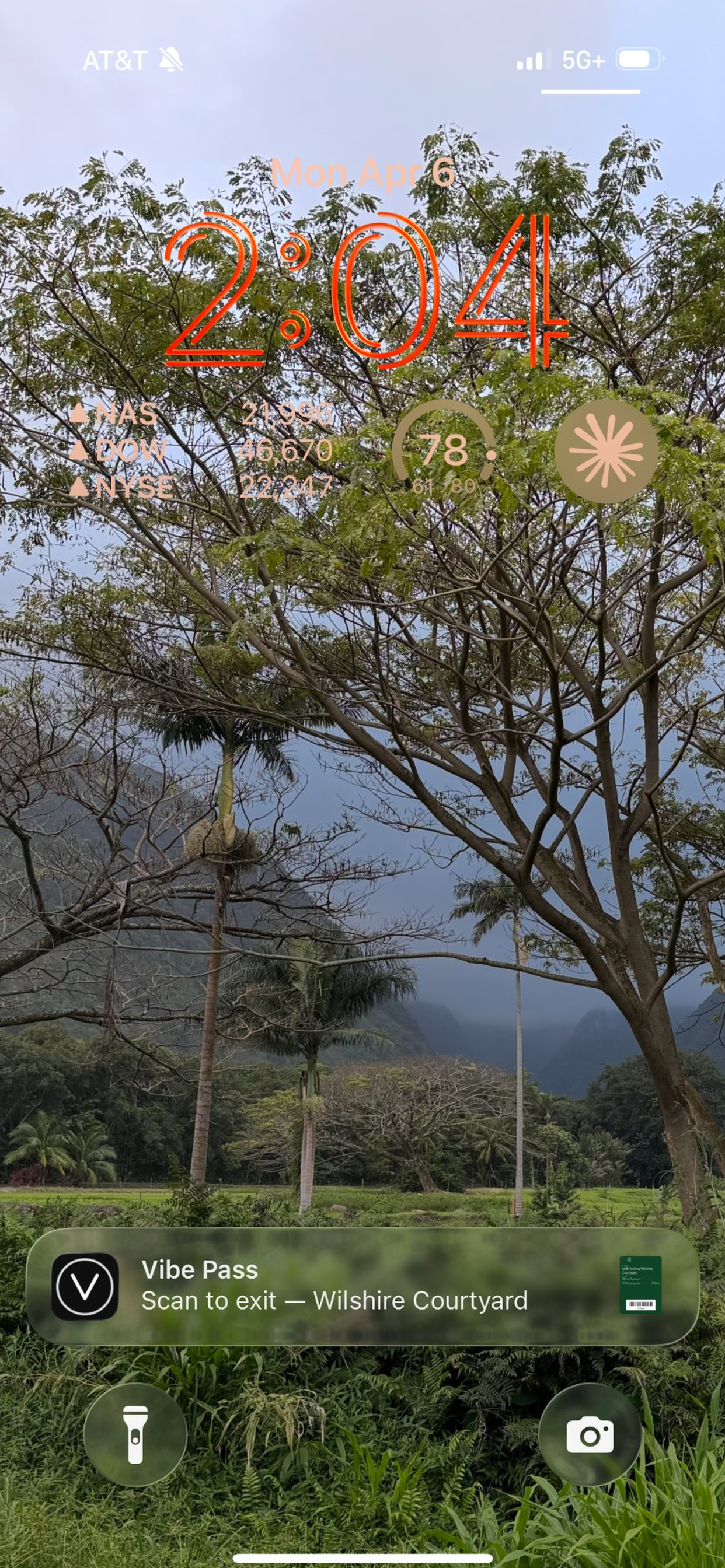 Vibe Pass screenshot 3