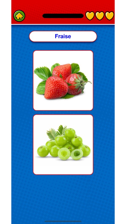 Learn French Canada Flashcards