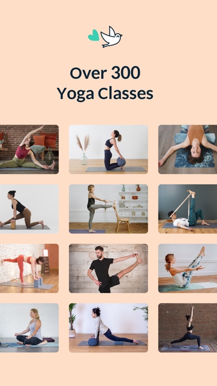 Yoga & Meditation | Gotta Yoga