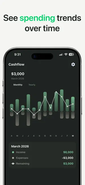BlackBird: Budget Planner screenshot 3