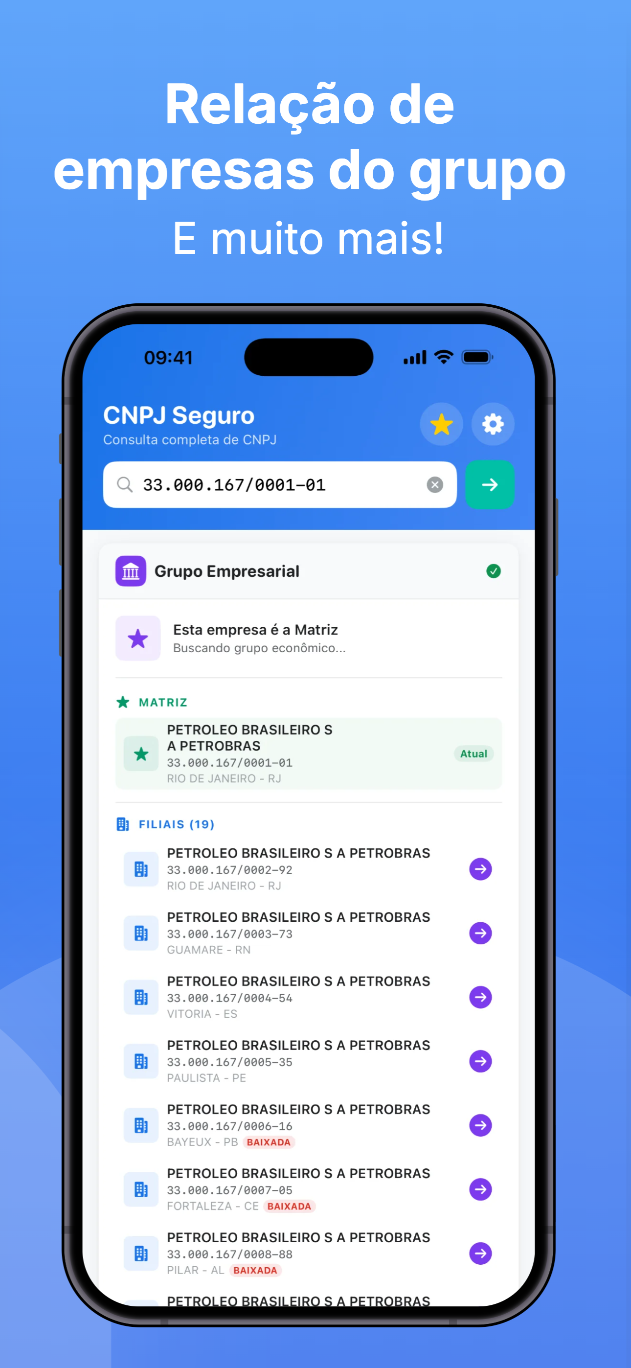 Consulta CNPJ: Ficha Empresa