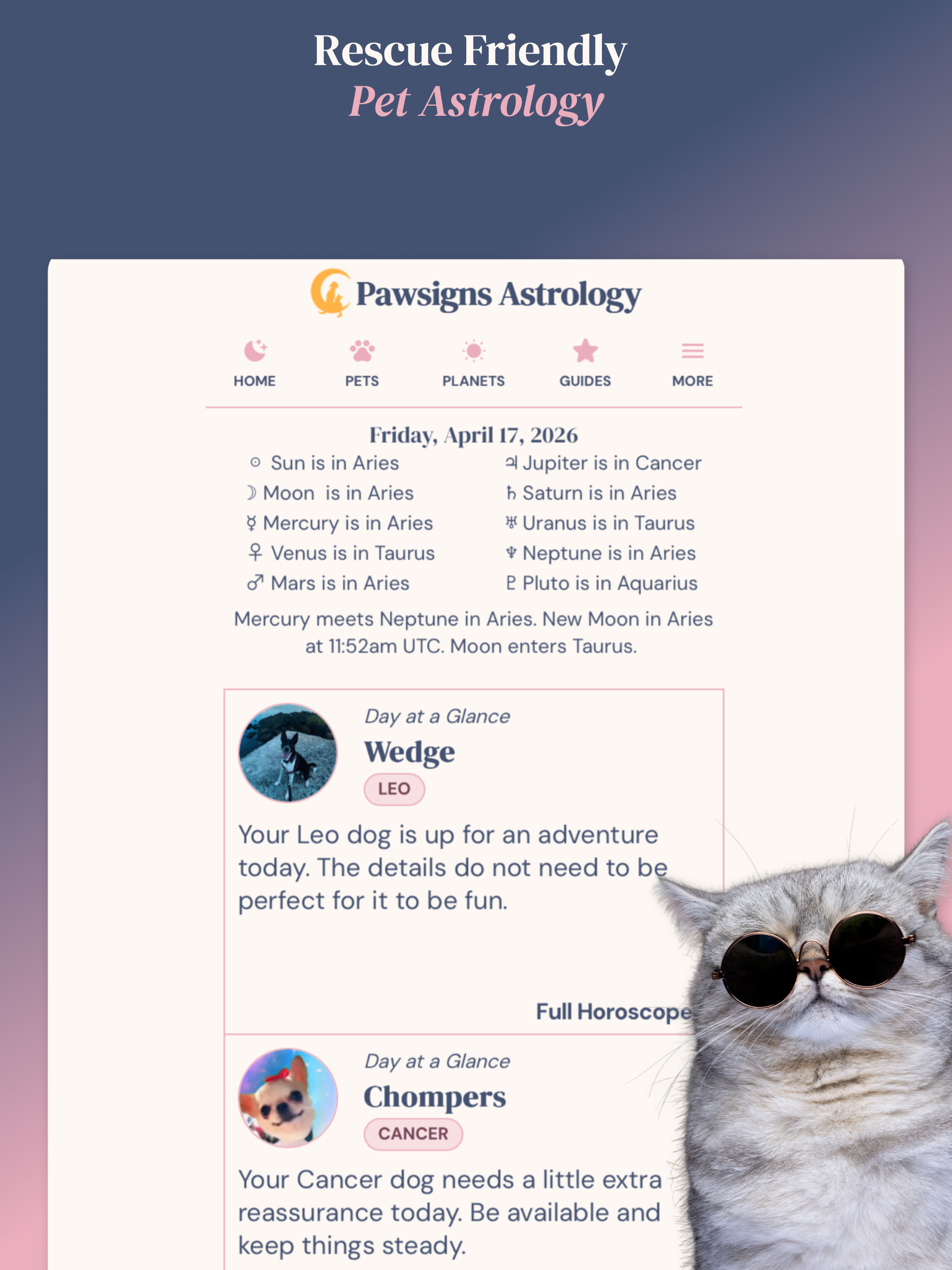Pawsigns