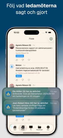 Riksdagsinsyn iPhone screenshot 3