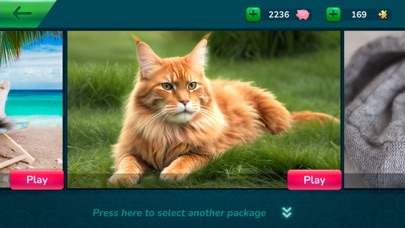 Screenshot #2 pour Puzzles Cool Jeux de Puzzle