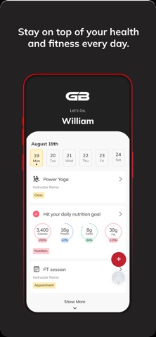 GB Performance Screenshot 2 of 6