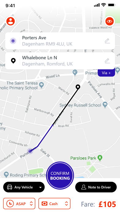 Sky Taxis Screenshot