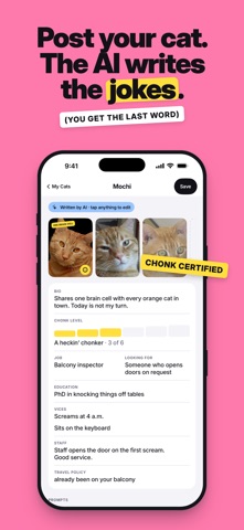 Date This Cat: Cat Dating Game screenshot 4
