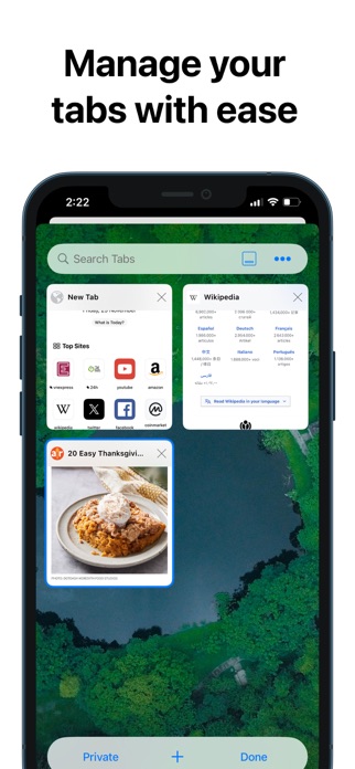 RedApp Browser Screenshot 2 of 10