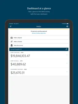 Capital One Intellix® Mobile screenshot 7